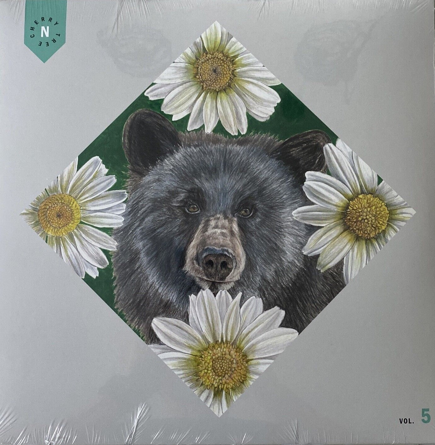 The National Cherry Tree Vol. 5 - Bearsville LP and 2022 Fan Club Gift Pack