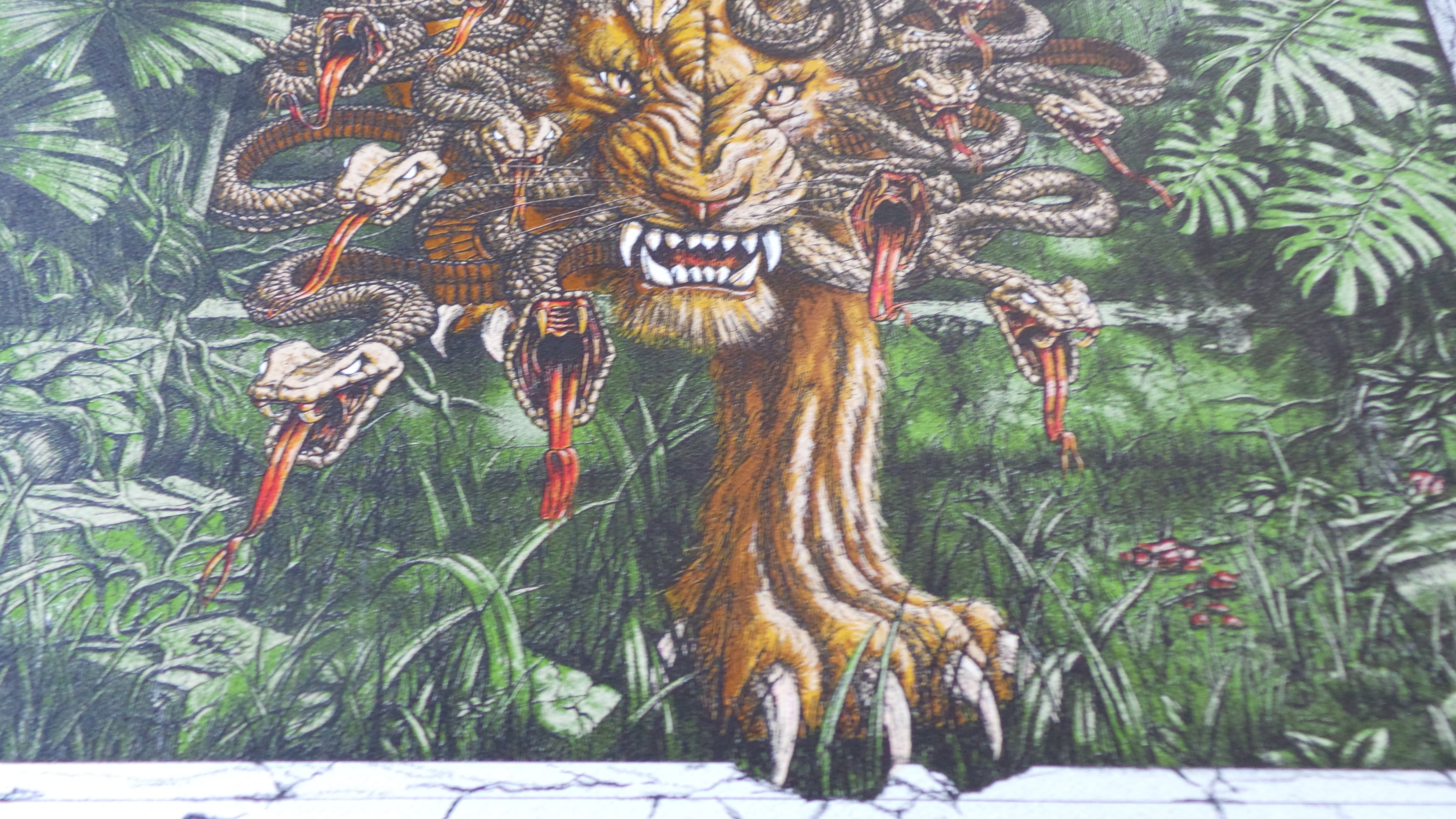 The Pixies Dig My Chili Asheville Concert Poster Print Signed Numbered 2014