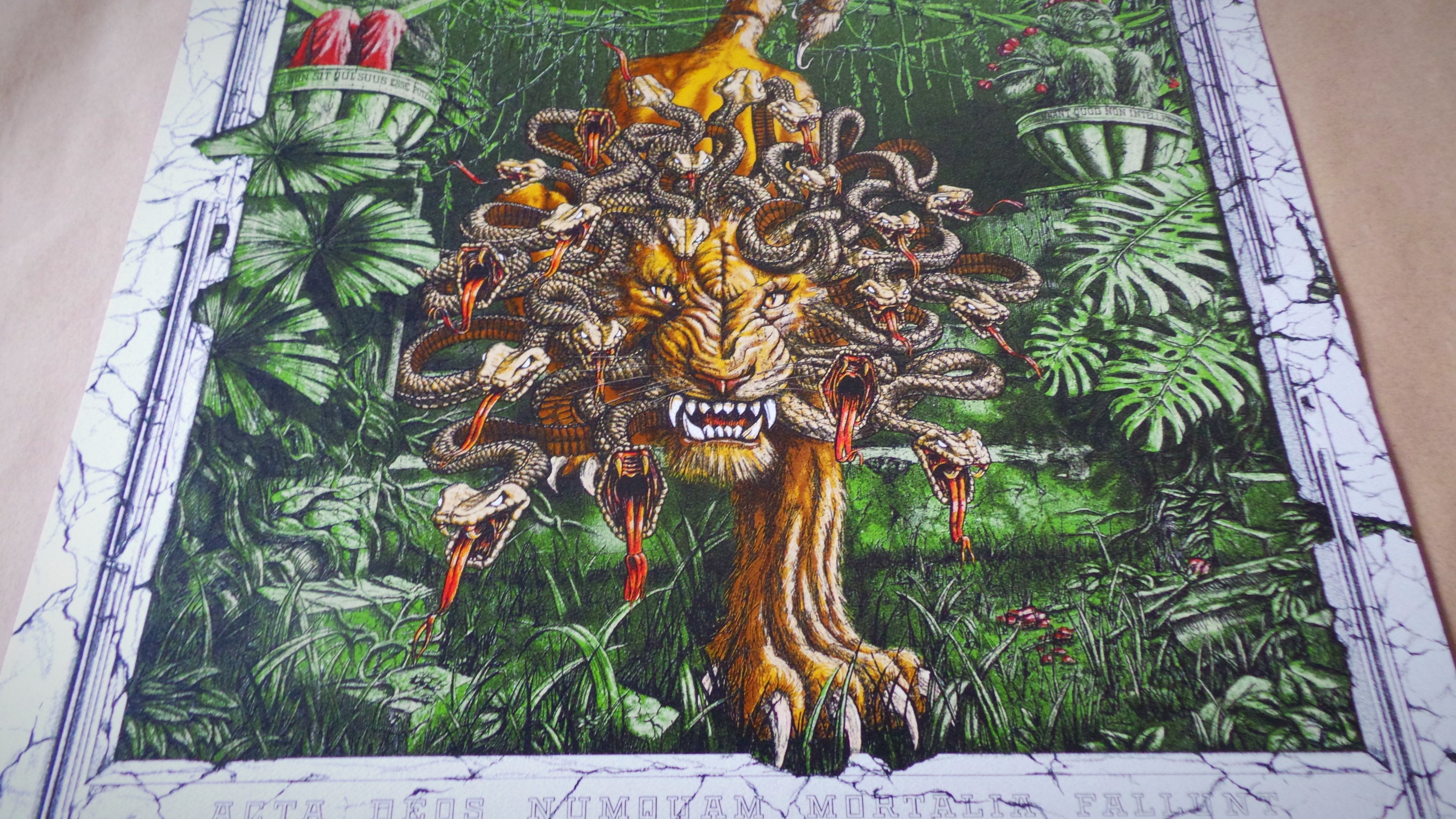 The Pixies Dig My Chili Asheville Concert Poster Print Signed Numbered 2014