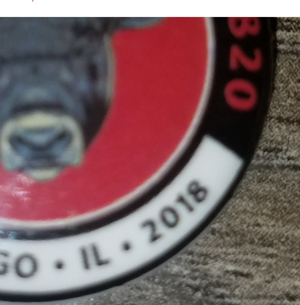 Pearl Jam Wrigley Field Bull Pin Chicago August 2018 Shows