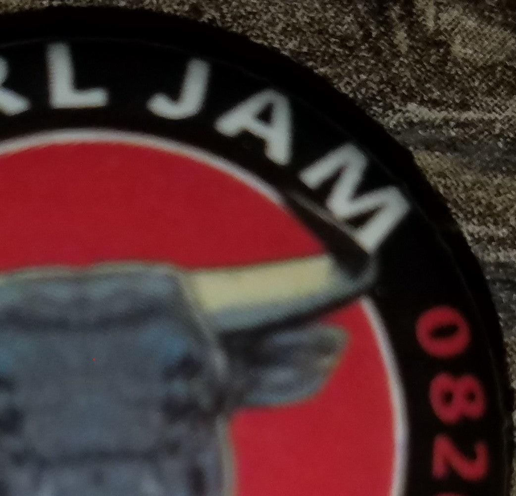 Pearl Jam Wrigley Field Bull Pin Chicago August 2018 Shows