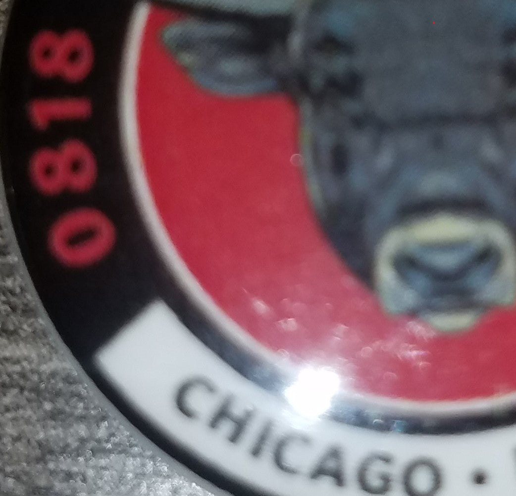 NOTES:  You are purchasing a Bull Pin from the August 2018 Chicago shows which took place at Wrigley Field.  Purchased from the Pearl Jam Merch Tent outside of Wrigley field on August 16, 2018.  Ready to ship!