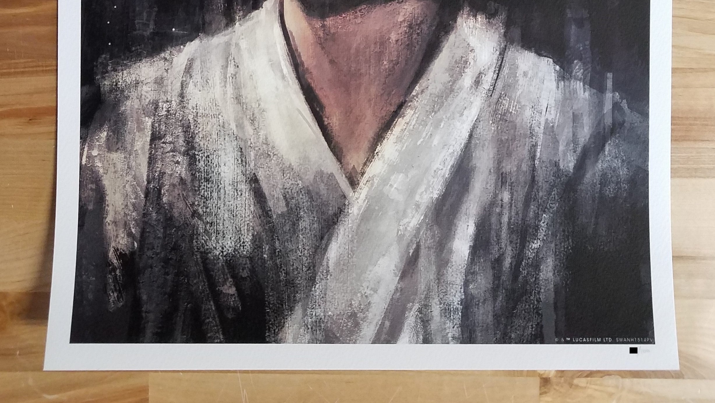 Alice X. Zhang - Star Wars Luke Variant Giclee Print - xx/100 - 2021