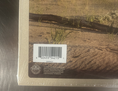 1989 (Taylor's Version) Rose Garden Pink Edition Vinyl