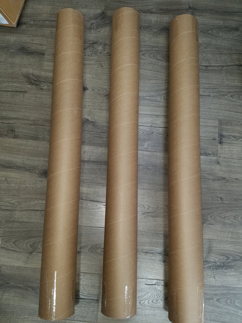 PEARL JAM Ames Bros HOME SHOW 2XL Complete Set of 12 Screenprint Posters S/N xxx/100