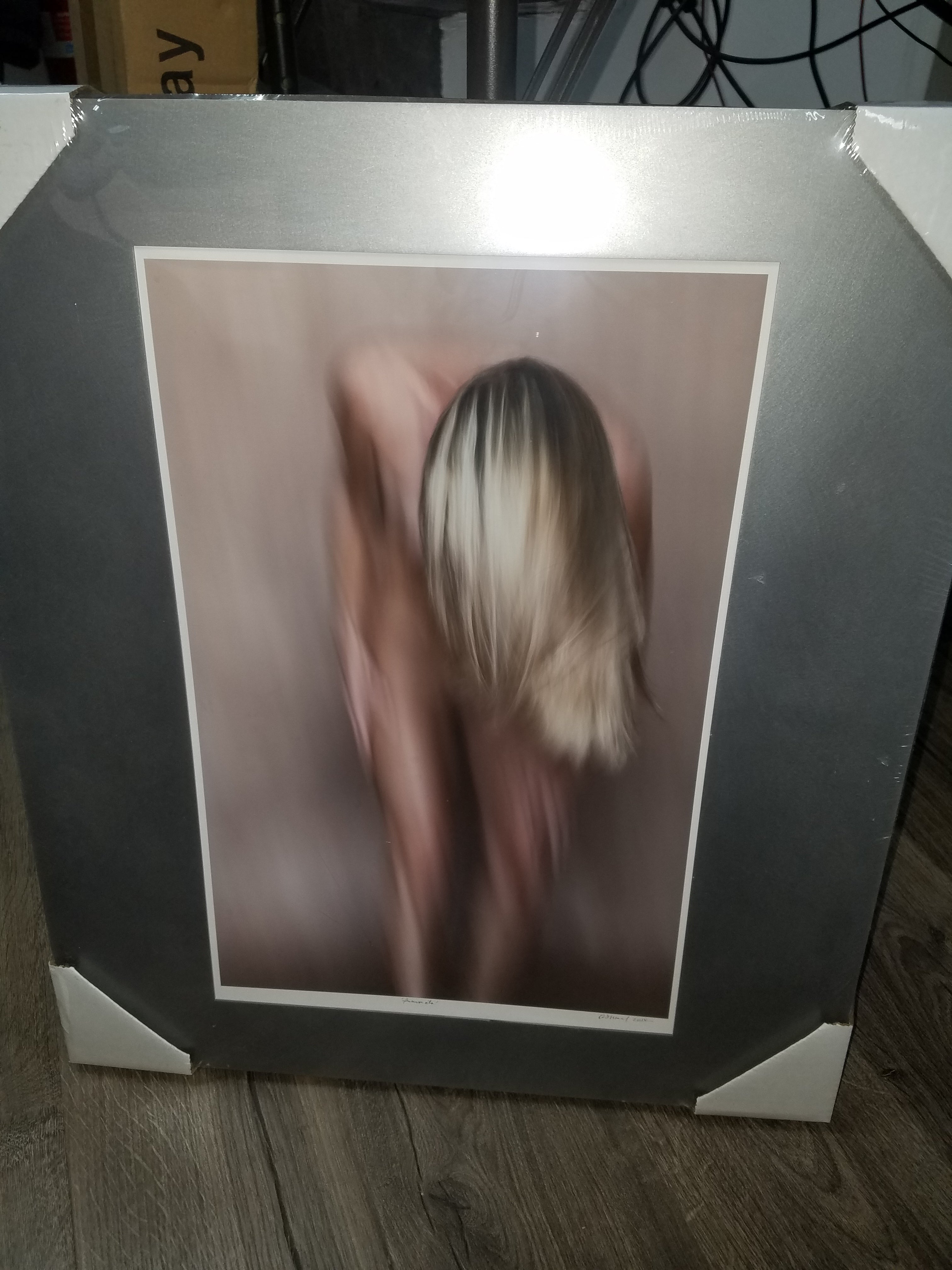 NOTES:  Still in the plastic  Framed and ready to hang in excellent condition  Nude Woman Naked Art from 2014  Artist Unknown  Frame measures 22" x 25"  In house and ready to ship!