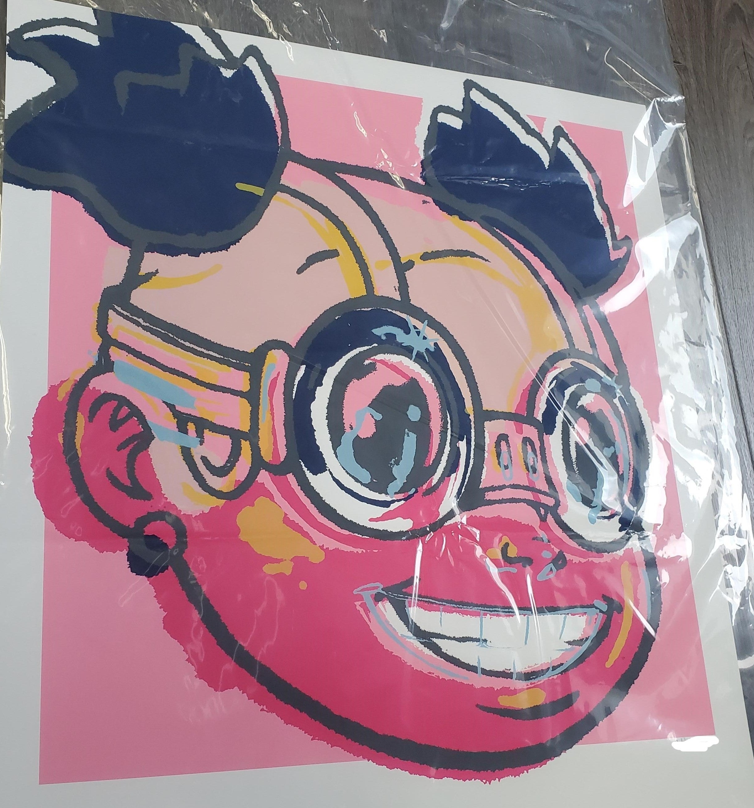 Title: LILAC PINK  Artist: HEBRU BRANTLEY  Edition:  xx/15  Type: Screen print poster  Size: 28" x 24"  Notes:  ROMAN NUMERAL Edition of 15, signed and roman numeral  SOLD AT STORE ONLY DAY OF.
