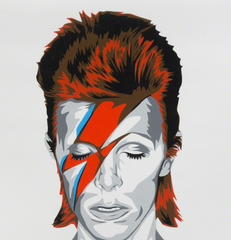Inspired by the iconic musician, actor, and artist David Bowie's "Aladdin Sane" album. Check out our other listings for more hard-to-find prints and posters.  Screen Print Poster, Printed on hand torn archival art paper and featuring a signature thumb print on the back.  Released by Its a Wonderful World Inc. in 2016. Limited Edition of 169 prints. Signed and numbered by the artist.